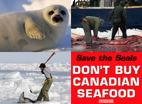 Stop the Seal Hunt