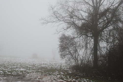 Winter herrscht noch weit auf Erden