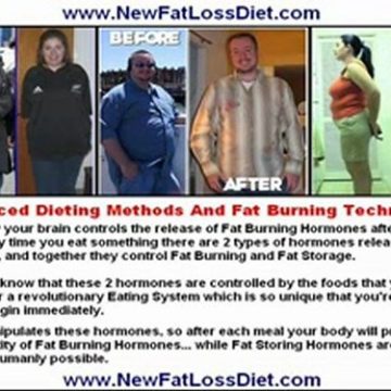 Fat Loss Program – Fat Burning Diet Plan (No Low Carb)