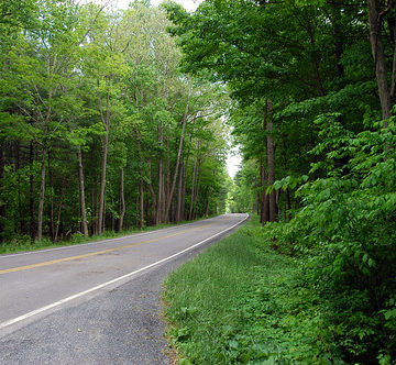 George Washington National Forest