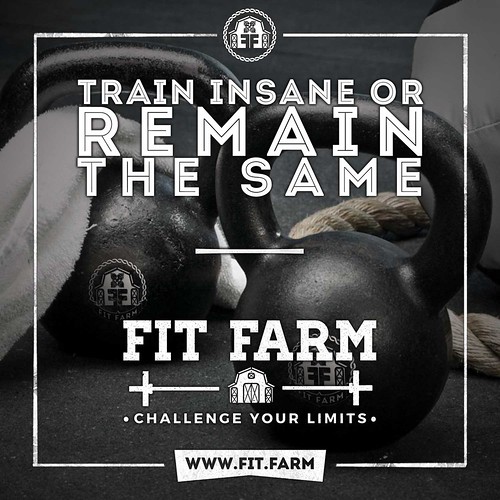 TRAIN INSANE OR REMAIN THE SAME.