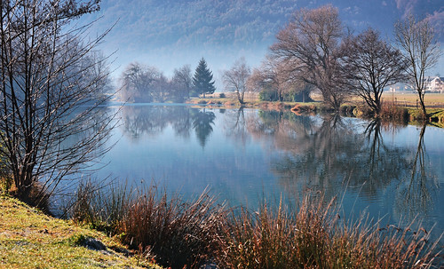 Petit matin sur le lac