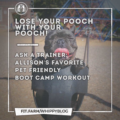 LOSE YOUR POOCH WITH YOU POOCH.