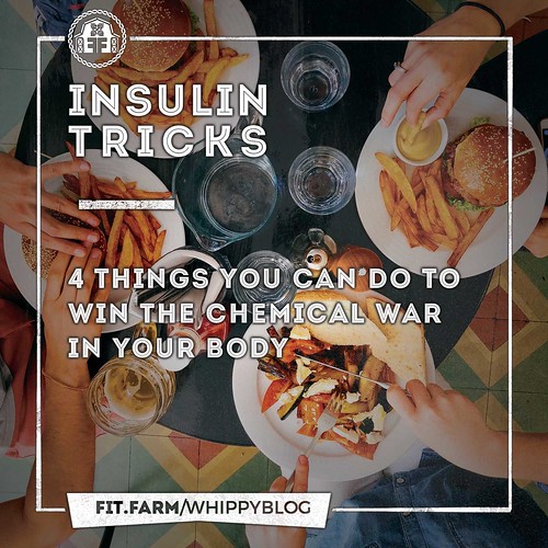 INSULIN TRICKS: 4 THINGS YOU CAN DO TO WIN THE CHEMICAL WAR IN YOUR BODY