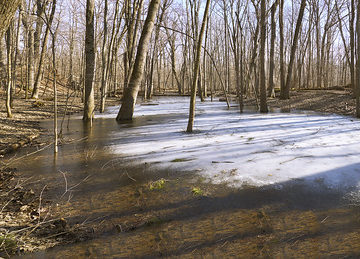 023263 Winter Retreats From The Flood Plane