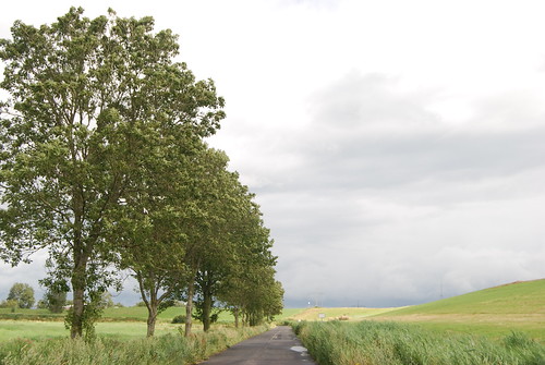 Kommet, kommet, lasst uns gehn