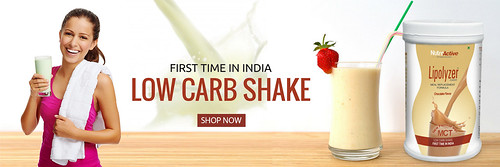 Lipolyzer Meal Replacement Low Carb Shake With Dite Plan