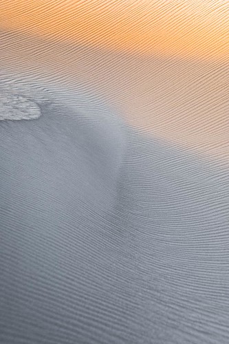 DAY AND NIGHT ON THE DUNES