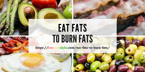 Eat Fats to Burn Fats