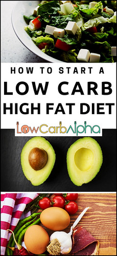 Low carb high fat diet how to start