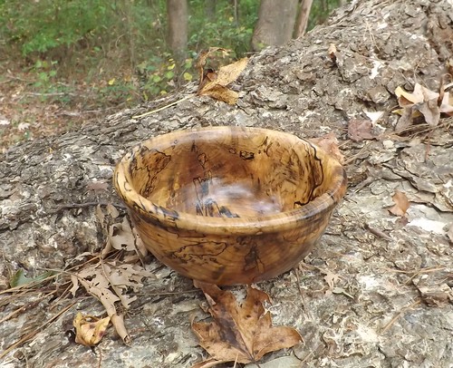 Spalted magnolia bowls