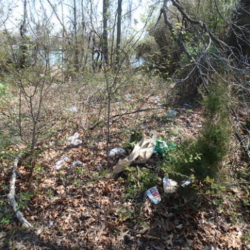 4/21/18 Volunteers Needed for our Earth Day Cleanup of Bear Creek Park and Shoreline!