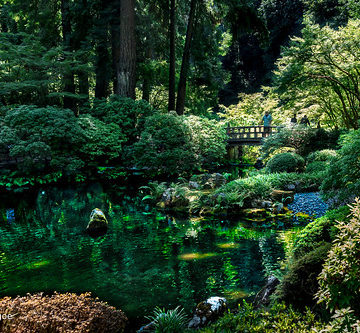 Reflections at Strolling Pond Garden at the Portland Japanese Garden, Portland OR USA-27a