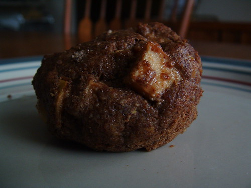 009/2010: Flax Seed Cinnamon Apple Muffin - An alternative, but absolutely not a substitute for the real thing!!!