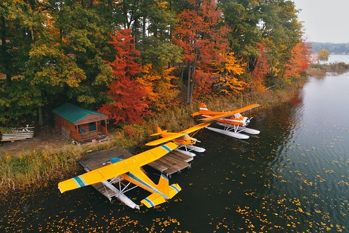 Fall color flight (10 07 2018)