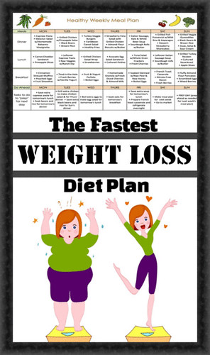 The Fastest Weight Loss Diet Plan