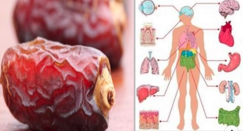 If You Eat 3 Dates Everyday For 1 Week This Is What Happens To Your Body