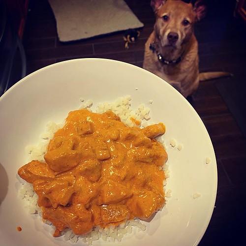 I needed comfort food and his sweet face. So @keto.connect butter chicken for dinner. This is my favorite #keto meal for sure and I make it about once a week.