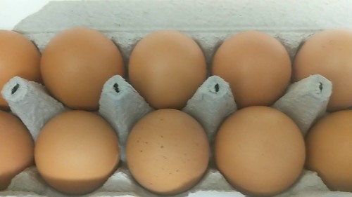 Pasture Raised Eggs vs Regular Eggs- Healthiest Eggs?