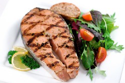 What is The Protein Power Diet?