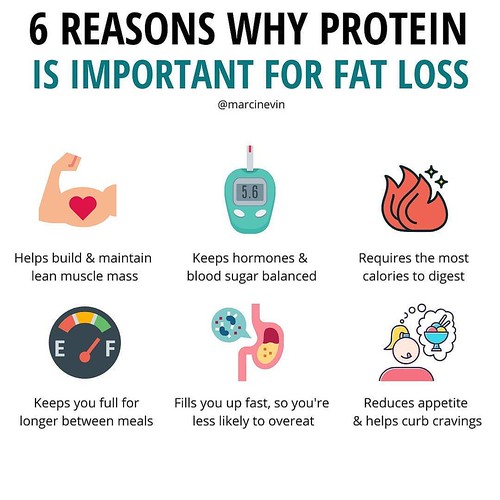 6 Reasons Why Protein Is Important For Fat Loss