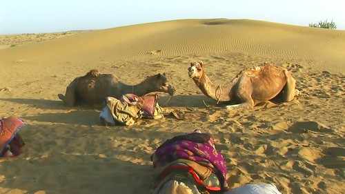 India - Rajasthan - Jaisalmer - Desert - 35