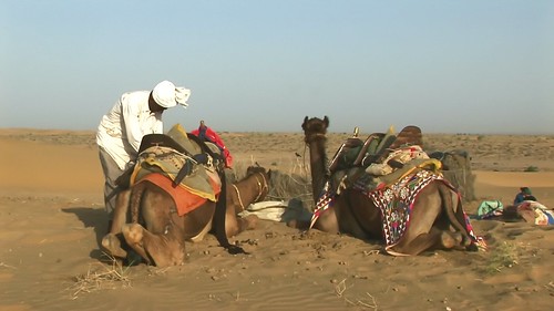 India - Rajasthan - Jaisalmer - Desert - 41