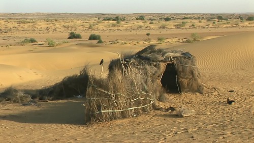 India - Rajasthan - Jaisalmer - Desert Camp - 46