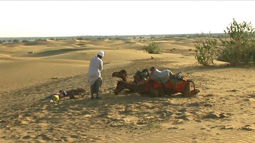 India - Rajasthan - Jaisalmer - Desert - 44