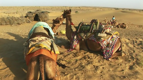 India - Rajasthan - Jaisalmer - Desert - 43