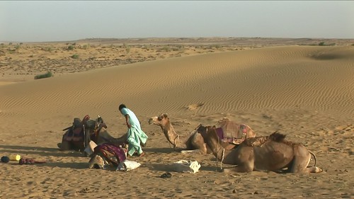 India - Rajasthan - Jaisalmer - Desert - 42