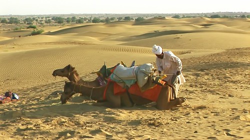 India - Rajasthan - Jaisalmer - Desert - 47