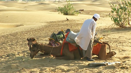 India - Rajasthan - Jaisalmer - Desert - 45