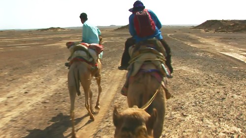 India - Rajasthan - Thar Desert - 57