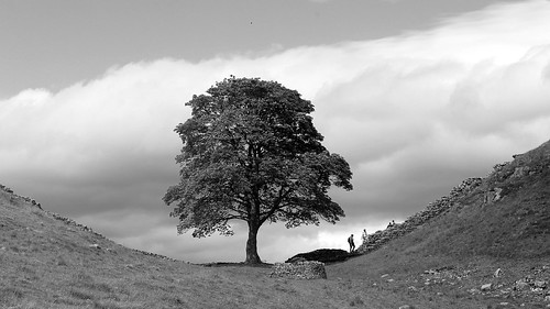 Sycamore Gap