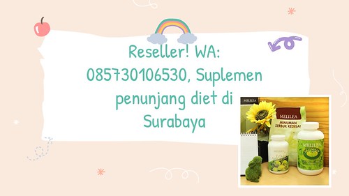 Reseller! WA: 085730106530, Suplemen penunjang diet di Surabaya