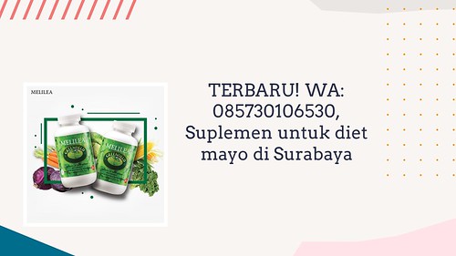 TERBARU! WA: 085730106530, Suplemen untuk diet mayo di Surabaya