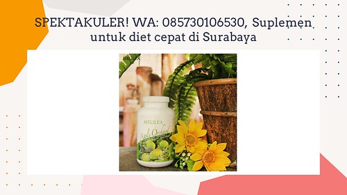 SPEKTAKULER! WA: 085730106530, Suplemen untuk diet cepat di Surabaya