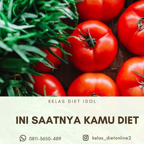 OLUSI CEPAT TURUN BB!, WA 0811-3650-489, Kelas Diet Online Di Kota