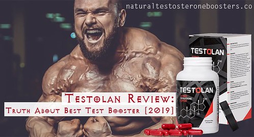 Testolan | united states Testolan Testosterone booster