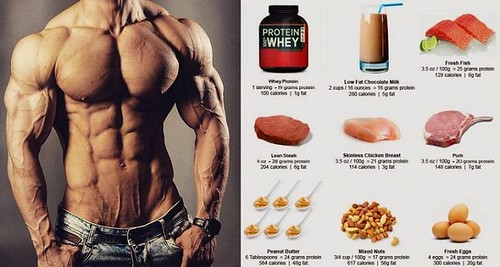 High Protein Diet and Foods for Muscle Building