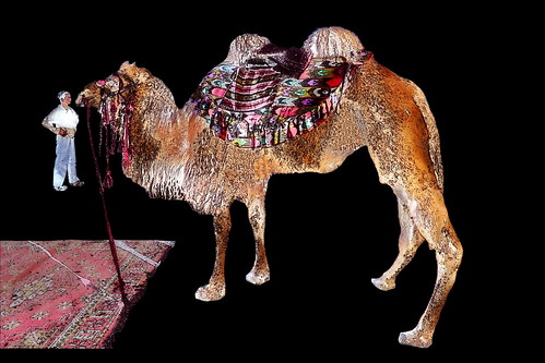 China - Kashgar - Camel - 82bb