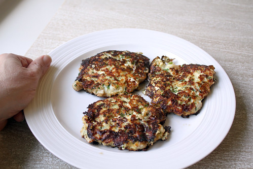 Day 4862 - Day 114 - Chicken Fritters