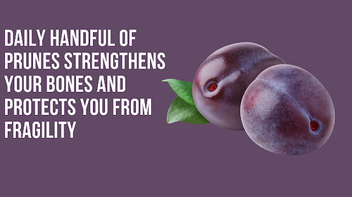 daily handful of prunes strengthens your bones and protects you from fragility