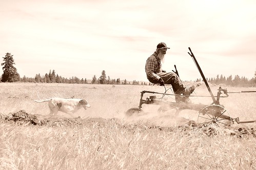 Willie and dog, running an antique plow behind an antique Case tractor HDR