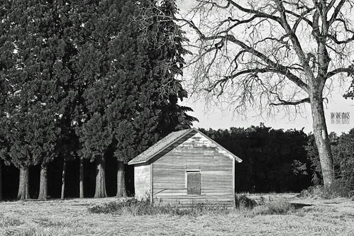 Haunted House