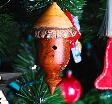 Little birdhouse on a Christmas tree!