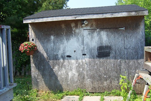 backyard - shed