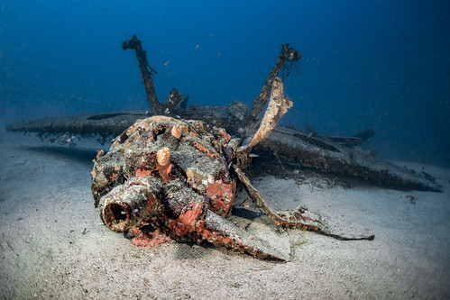 The messerschmitt 109 wreck of mediterranean sea.