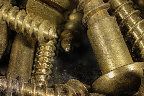 Brass Wood Screws